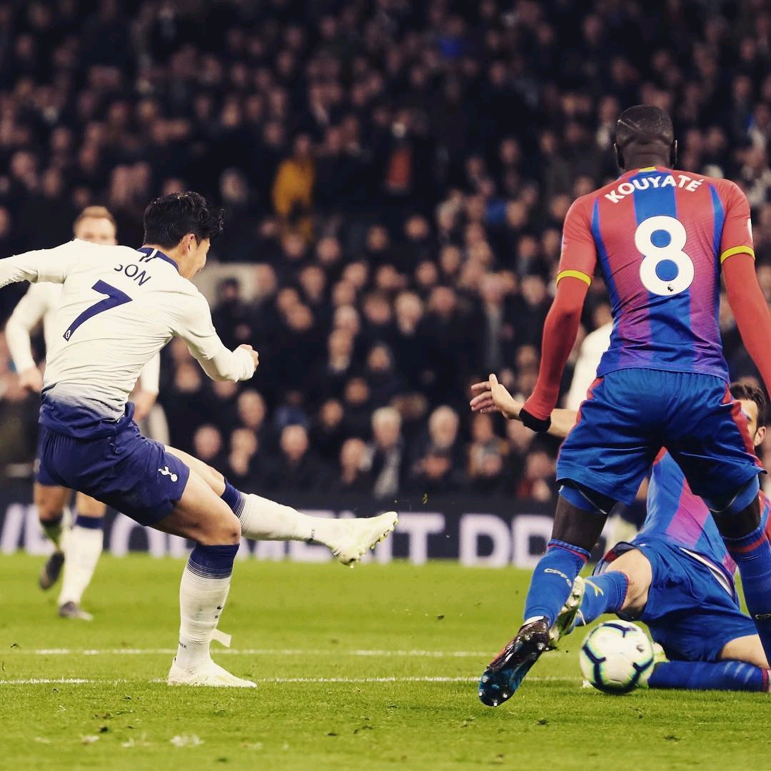 夏季引入的 夏季引入的